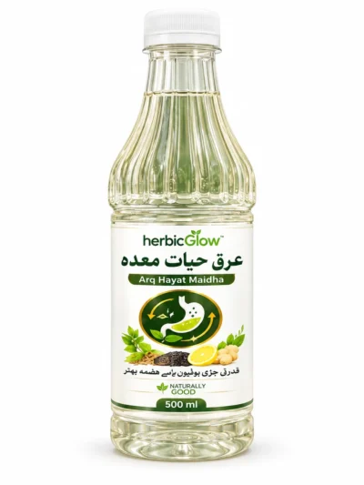 Arq Hayat Maidha