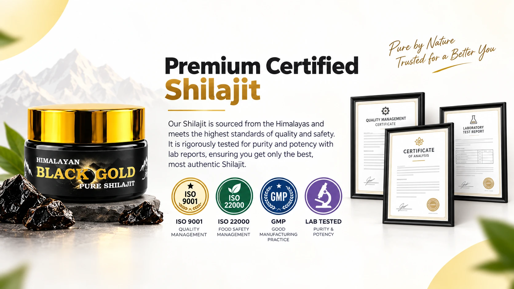 Himalayan Black Gold Pure Shilajit by Herbic Glow Pakistan